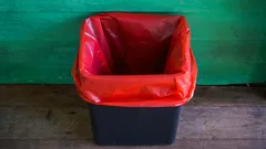 How to get rid of trash can odors for good: a simple and effective life hack