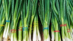 How to store green onions so they don't rot in the refrigerator — it's easier than it seems