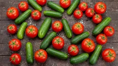 Why cucumbers wilt next to tomatoes: the root war you can't see