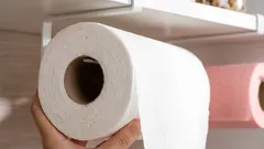 How to use paper towels in everyday life: you definitely didn't know this