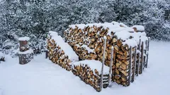 How do you dry wood in winter? The Canadian method of drying wood in the sun. Simple, effective, and ideal for softwood.
