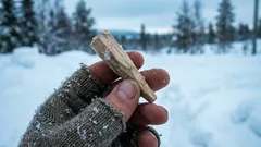  The elders did this before winter: a small peg that works wonders in the frost.